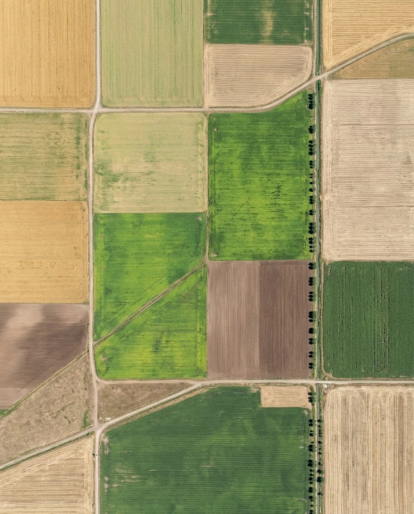 Farmland seen from above; four fields outlined on the map, the wheat field selected